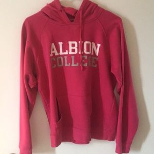 Albion college pink champion hoodie